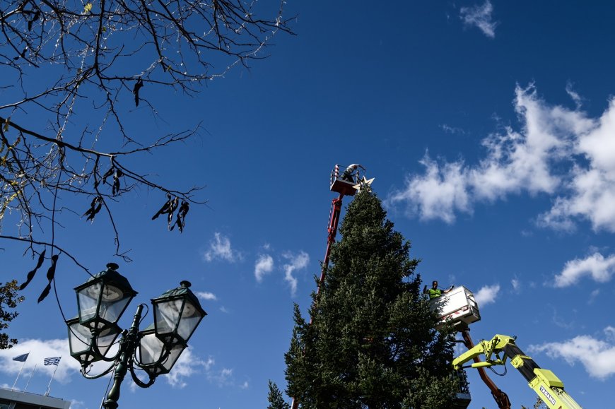 Δέντρο Σύνταγμα 2023 – Χριστούγεννα: 24.000 λαμπιόνια στο έλατο από το Καρπενήσι!