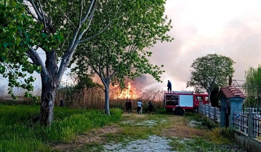 Φωτιά σε καλαμιές στο Δήμο Νέστου