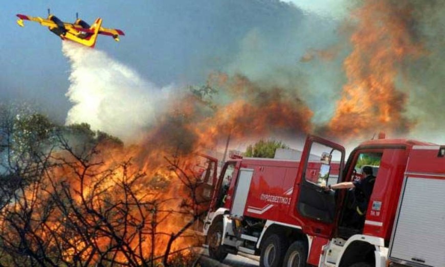Απαγόρευση καύσης υπολειμμάτων από 11 έως 18 Μαρτίου