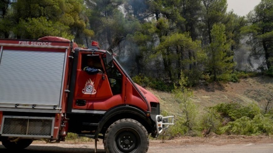Ο Δήμος Θάσου εξασφάλισε κονδύλι για πυροπροστασία