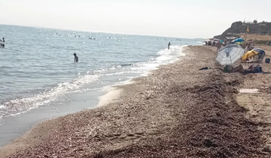 Ανέτοιμος ο Δήμος Μαρώνειας Σαπών για την καλοκαιρινή περίοδο