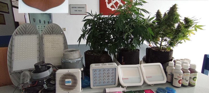 Από την Καβάλα στην Σίνδο βρήκαν την υδροπονική καλλιέργεια κάνναβης