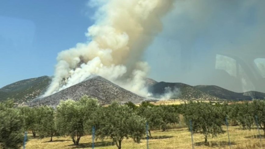 Έσβησε η φωτιά στη Χωριστή Δράμας
