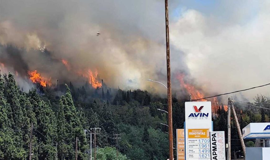 Φωτιά στην Άσπρη Άμμο Καβάλας